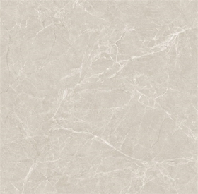 Gạch 1000x1000 - 1103