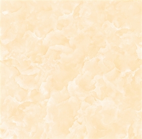 Gạch 50 x 50 - 2903