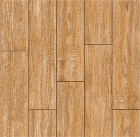 Gạch 50 x 50 - 543
