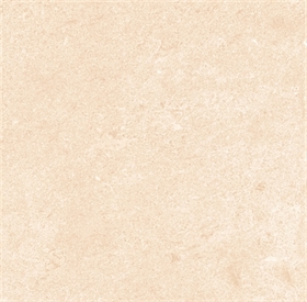 Gạch 50 x 50 - 556