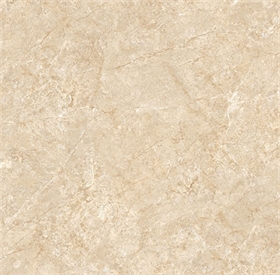 Gạch 60 x 60 - MSU6001