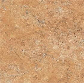 Gạch 60 x 60 - MSU6005