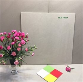 Gạch 60x 60 - DIC 60702