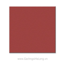 Gạch Hạ Long 